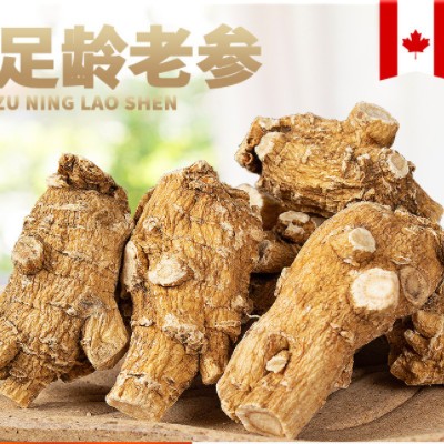 加拿大西洋参粒头 足龄西洋参参段可切片 西洋参圆粒产地批发图2