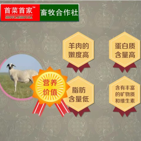 首菜首家 内蒙法式羊排法式小切1斤/袋生鲜羊肉烧烤食材冷冻食品图2