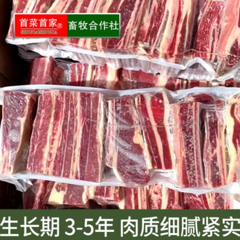首菜首家黄膘牛大排骨斤/件冷冻食品草饲牛腱牛腩牛肉批发图2