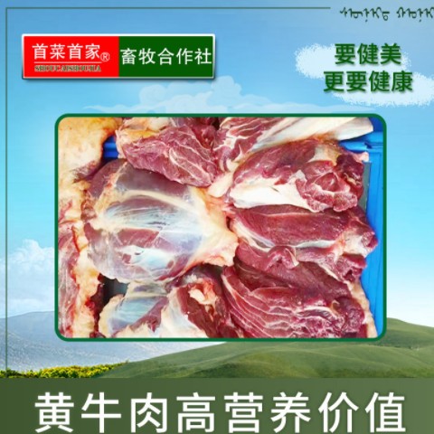 首菜首家 内蒙黄牛肉花牛腱1斤/件 五香牛肉冷冻食品生牛肉批发图3