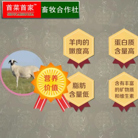 首菜首家 内蒙苏尼特羊肚包肉1斤/件羊后腿肉冷冻食品羔羊肉批发图2