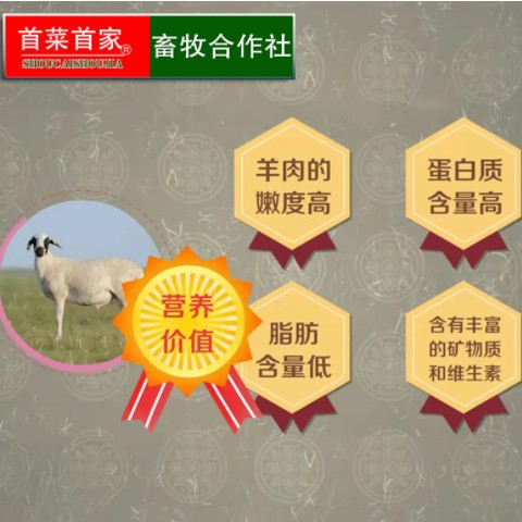 首菜首家 内蒙苏尼特纯羊杂1斤/袋 半成品羊肉冷冻食品非调理批发图2