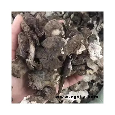 新辉药业云苓皮  茯苓皮  野生白茯苓表皮 新干货