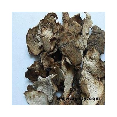 茯苓皮 茯苓皮统货 产地 安徽省