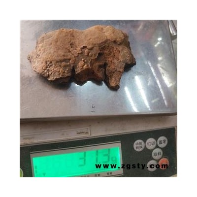 新辉药业桦褐孔菌 斑褐孔菌