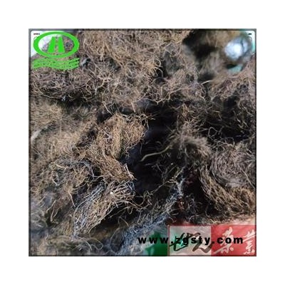 世元药业 头发七 正品100g/袋 黑丝草 人头七 黑丝带 亚洲树发 双色树发 沟树发