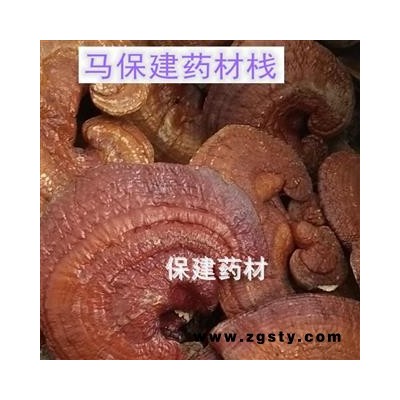 灵芝 灵芝个子 产地直销 质量好 吉林省