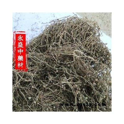 白花蛇舌草 白花蛇舌草家种选货 产地 河南省南阳市