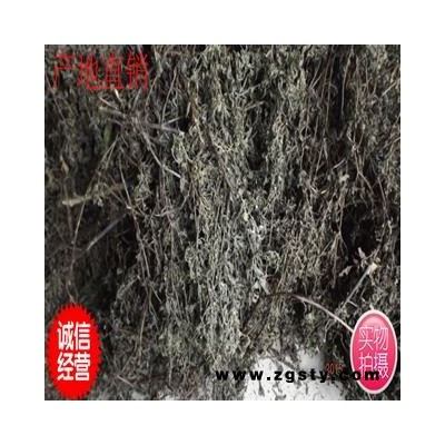 旱莲草 旱莲草统货 产地 河南省南阳市市辖区