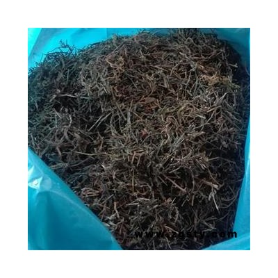白花蛇舌草，白花蛇草，野生， 质量正品 产地 广西壮族自治区