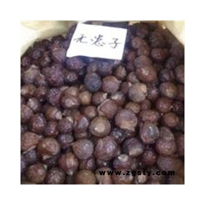 诺源药材行中药材无患子 洗手果 苦患树 木患子 油患子