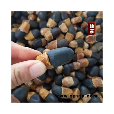 中药材缅伽 缅茄菩提子 阴阳果 马牙果