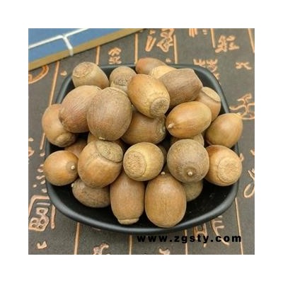 橡子栗茧橡子橡实栎树果橡果橡栗  橡子