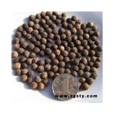 新辉药业正品樟树籽 樟树子