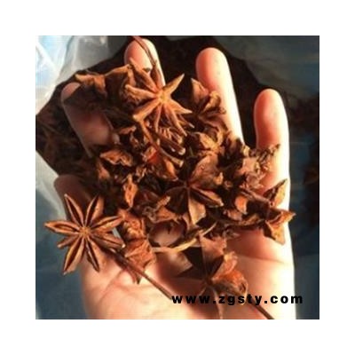 新辉药业优质中药材调料 八角  大料