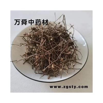 白花蛇舌草 白花蛇草家种选货 蛇草 产地 河南省