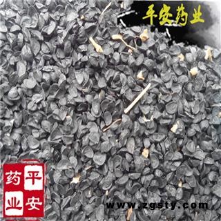 平安药业 葱子 正品 葱籽 过筛除尘 杂质少 经济实惠图1