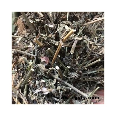 中药材 中草药材一点红 羊蹄草 红头草 叶下红 山羊草