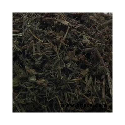圣草康园双肾草 肾阳草 一根葱 秤砣草 坠桃草 肾阳草 鸡肾参 对对参