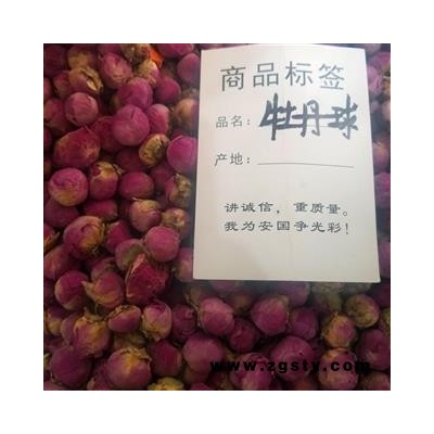 牡丹珠 牡丹花