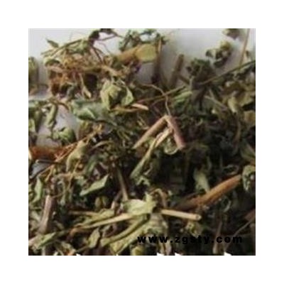 圣草康园中药材二色补血草 燎眉蒿 二色补血草 血见愁白花莱棵