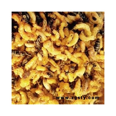 雄蜂蛹 干品（小盐水）地蜂子