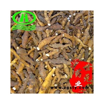 世元药业 节菖蒲 正品 优质 九节离 小菖莆 外菖蒲 京玄参 京菖蒲 鸡爪莲