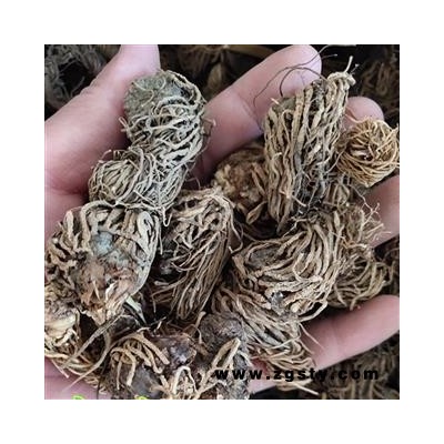 吉康药业头顶一颗珠 延龄草、芋儿七 狮儿七 三角七 头顶珠 、地珠 统货