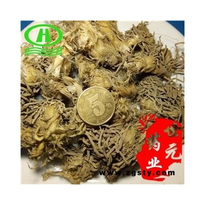 世元药业 韭菜根 正品 草钟乳 起阳草 长生草 扁菜 壮阳草 洗肠草