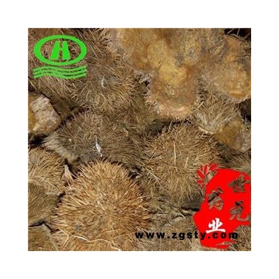 世元药业 栗子壳 正品 栗毛球 板栗皮 板栗外壳 优质