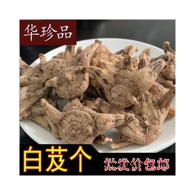 白芨 07 云南白芨个 选 产地 贵州省