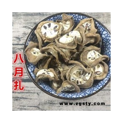 预知子 八月札 八月札 产地 湖北 精品好药 尽在山东七彩百草