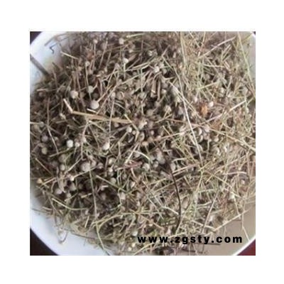 谷精草 好统货 产地 湖南省