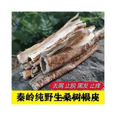 桑白皮500克 秦岭野生桑树根皮老桑皮中药材桑树皮桑树皮洗头去屑