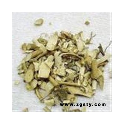圣草康园黄花参 观音串 黄花倒水莲根 倒吊黄 黄花倒水连