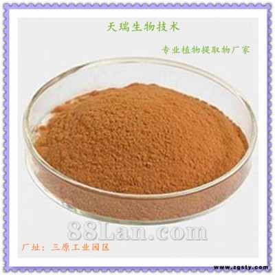 小红参提取物　小红参浸膏　小红参浓缩粉　小红参粉