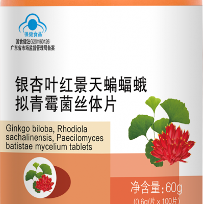 银杏叶红景天蝙蝠蛾拟青霉菌丝体片