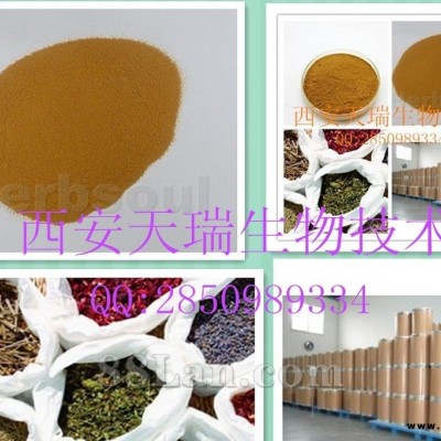 羊角拗提取物　羊角拗粉　羊角拗浸膏　羊角拗浓缩粉