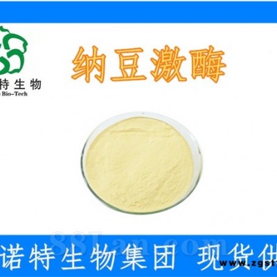 纳豆激酶 20000活性 纳豆发酵提取物 斯诺特厂家
