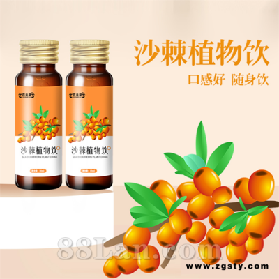 沙棘植物饮品 沙棘原浆饮品加工