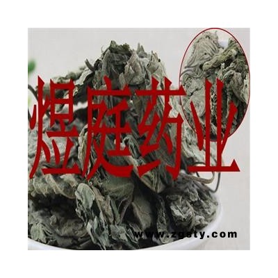 煜庭药业 楮叶 褚桃叶 楮树叶