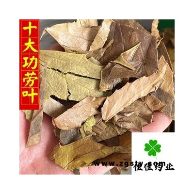 十大功劳叶 统 产地直销 量大从优 供应各种中药材 产地 湖北省