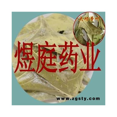 煜庭药业 十大功劳叶