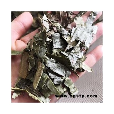 安祁名药山香圆叶  两指剑