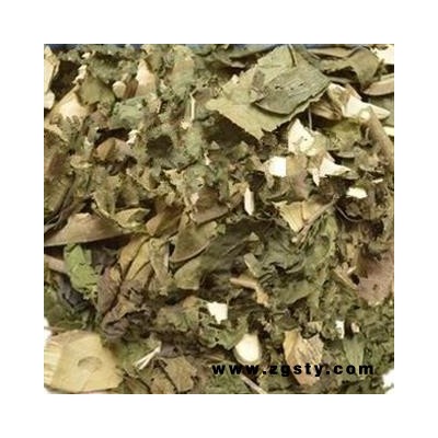 小丽百草行  广东紫珠 紫珠草 紫珠柴