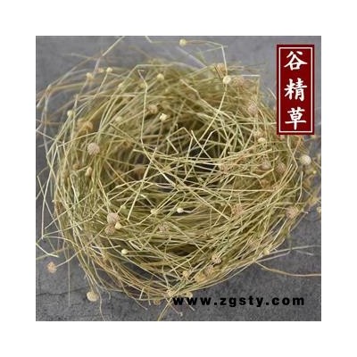 谷精草中药材 珍珠草 谷精珠 谷精新货包邮