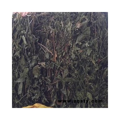 吉康药业黄皮叶 油皮 油梅产地广东新货颜色好15天无理由退货