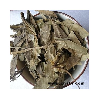 小丽百草行夹竹桃叶 夹竹桃叶 柳叶桃 干叶