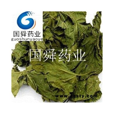 桑叶 统段 产地 山东省