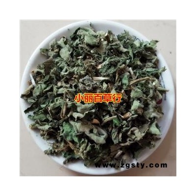 小丽百草行褚桃叶 楮树叶 楮叶 名构叶 构树叶谷树叶